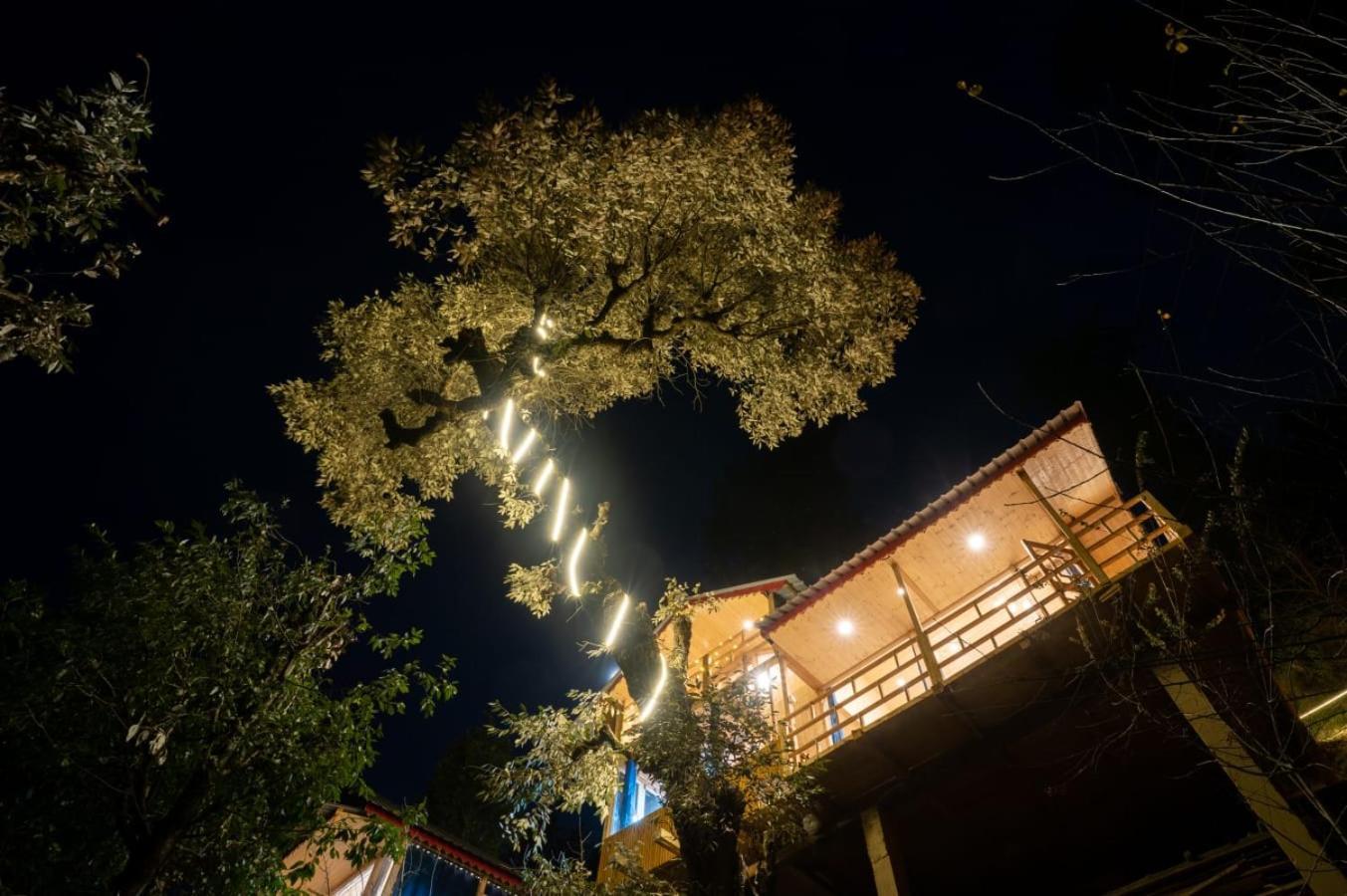 Into The Woods Treehouse Jibhi Βίλα Εξωτερικό φωτογραφία